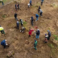 Die softfolio Baumpflanz-Aktion