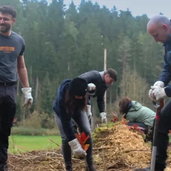 Das ganze Team packt fleißig an in Dunningen