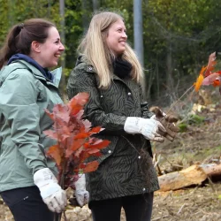 Zwei Mitarbeiterinnen pflanzen Setzlinge