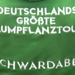 Das softfolio Team beim Aufforsten